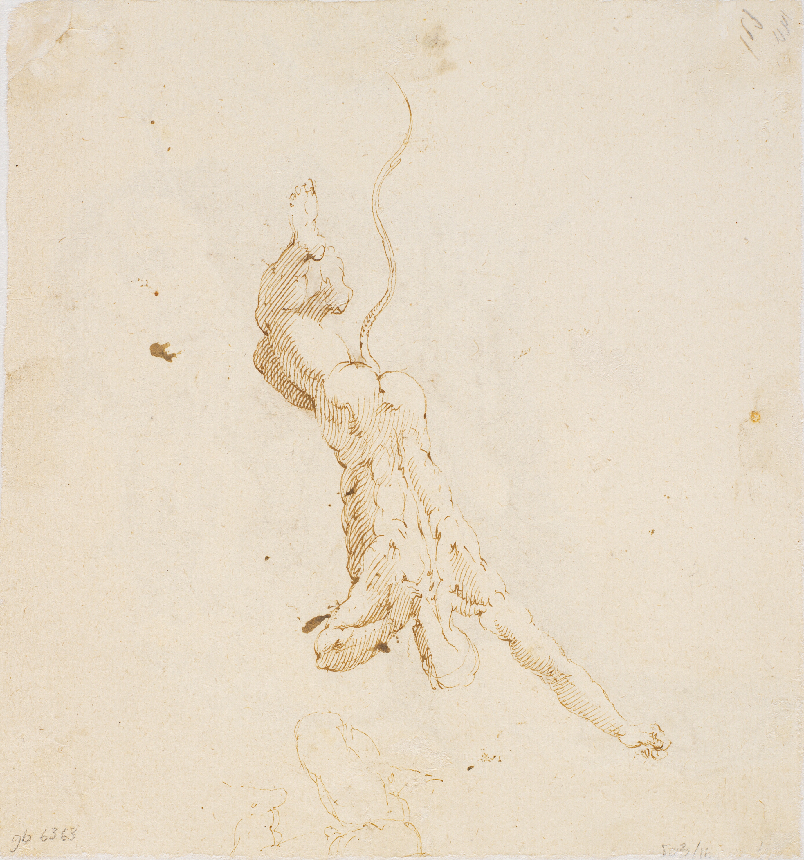 Styrtende djævel (kalket gennem papiret)